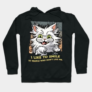 I like to smile at people who don´t like me Hoodie